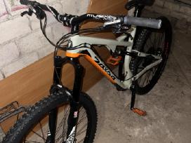 Salsa Pony Rustler Carbon
