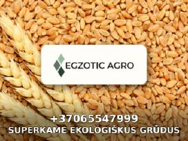 Superkame Ekologiškus Grūdus