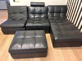 Odinė Sofa