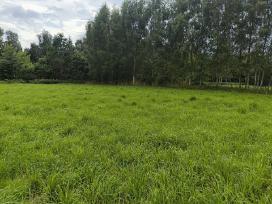Parduodami namu valdos /zemes paskirties sklypai