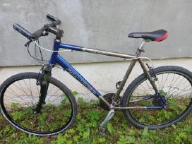 Vokišks Panther 28ratai XL dydis 58cm alium remas