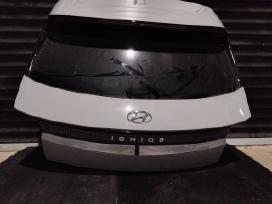Hyundai Ionic 5 dalys
