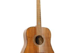 Gitara akustinė