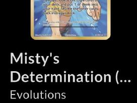Misty determination trainer 2016