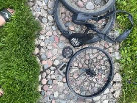 BMX dalys