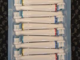 Oral-b dantų šepetėlio galvutės 20vnt.
