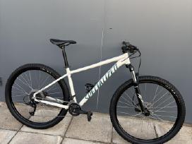 Specialized Rockhopper MTB 29
