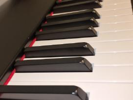 M-audio Hameer 88 Piano Bundle
