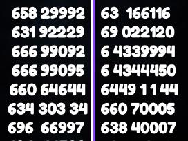 Gražus numeris už 20€ 111 000 333 888 999 222 4444
