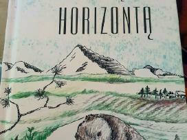 Justinas Navikas – „Išeiti į horizontą“ knyga