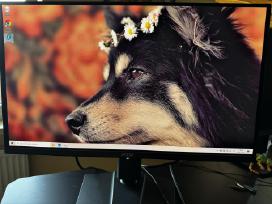 Monitorius Msi Mag 271qpx E2