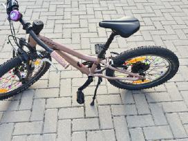 Scott contessa 20