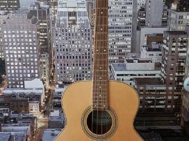 Dean Playmate Eab