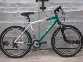 Panther Pro X 200 26"