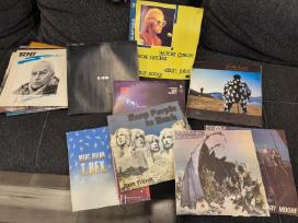 Parduodama vinilinių plokštelių kolekcija.