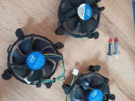 Intel aušintuvai