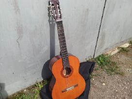 Instrumentai, gitaros,stygos,gitaros pedalas