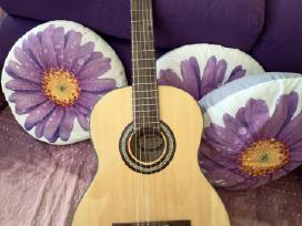 Adonis Agw198na klasikinė gitara