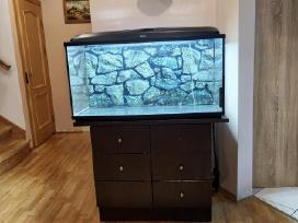 240 l akvariumas