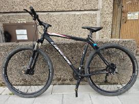 Dviratis XL 29"
