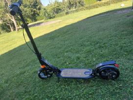 Paspirtukas Urban Scooter