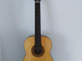 Sanchez gitara