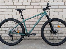 Specialized Rockhopper 29er