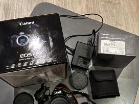 Canon EOS R50 + Ef–EOS R adapter