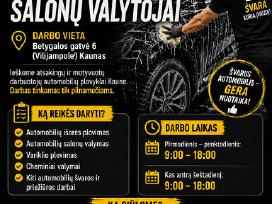 Ieškomi Automobilių Plovėjai – Salonų Valytojai
