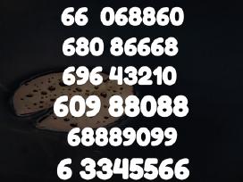 Gražus VIP numeris 688886 už 50€