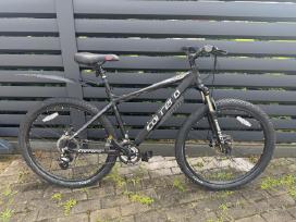 Kalnų dviratis Carrera 26″