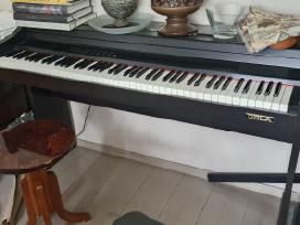 Elektrinis pianinas Orla ir kede