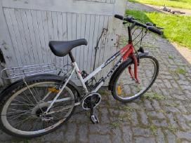 Dviratis Fort Bluster active sport