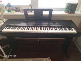Yamaha Dgx-660