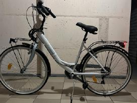 Dviratis Lombardo Rimini 26"