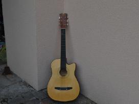 Gitara puikaus stovio