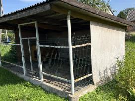 Voljeras šuniui