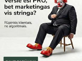 IT sprendimai, svetainės, eshop - nuoma nuo 150€