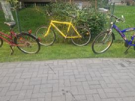 3vnt 65 eur