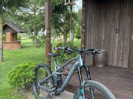 Canyon Strive AL