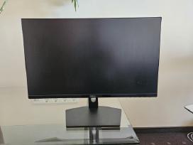Dell monitorius