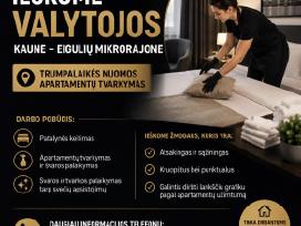 Ieškome valytojos