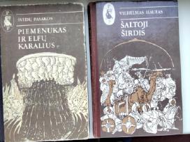 Piemenuka ir elfų karalius, Šaltoji širdis
