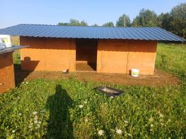 Parduodami avių nameliai