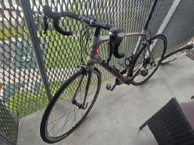 Bianchi Cv infinito (XL)