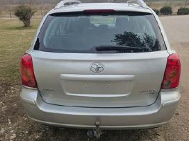 Avensis dalimis