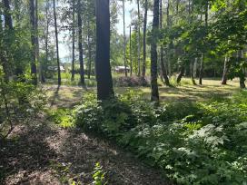 Parduoti