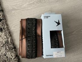 Schwalbe G-one Rx Pro Super Race V-guard Tlr