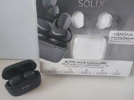 Solix ausinės