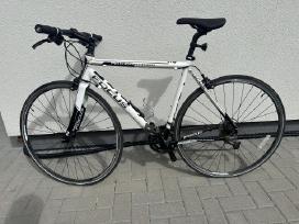 Focus Arriba 2.0 – Shimano Sora, M dydis,